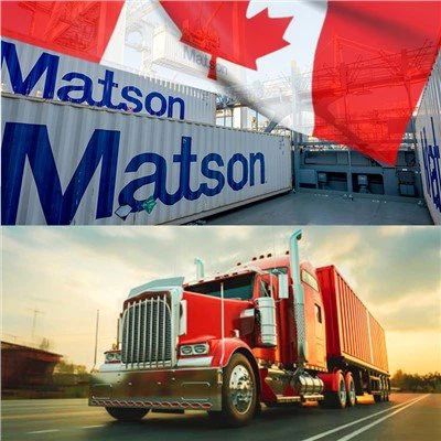 Fast Timeliness To Canada